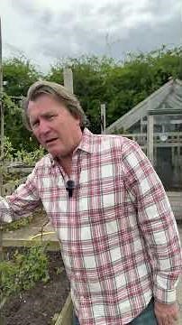 Apple Tree Pollination