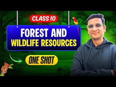 Forest and Wildlife Resources Class 10 | Easy Telugu Explanation | Full NCERT Summary | Eduscope