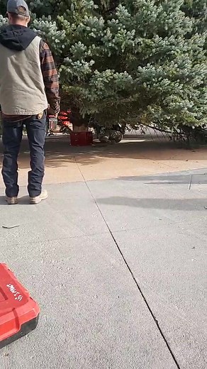 3.7K views · 34 reactions | Railside Christmas Tree is just about in place!! | KSNB Local4 | Facebook