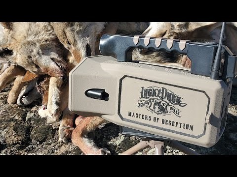 The All-New SUPER REVOLT by Lucky Duck Predator Calls