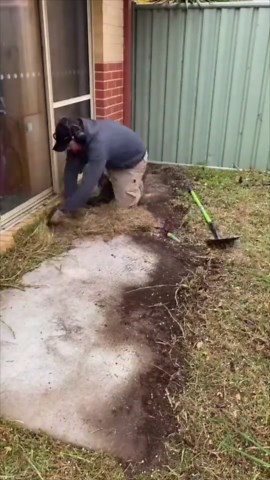 The Ultimate Guide to Turning a Messy Home into Clean