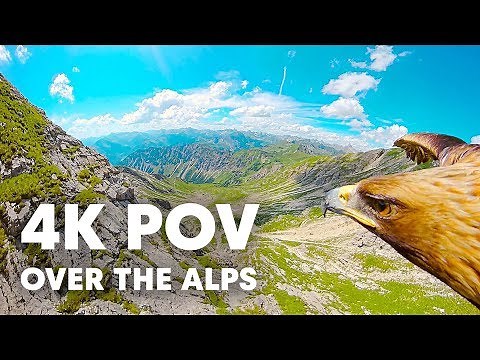 Breathtaking Eagle POV Flying Over The Alps in 4K