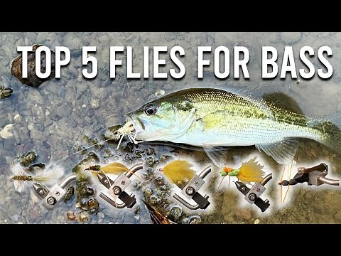 Secret to Bass Fly Fishing with These Five Flies