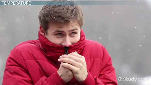 Cellular Respiration Process | Purpose, Factors & Examples