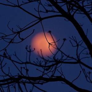 Test Isc Concert & Tour History  | Concert Archives