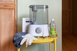 How to Clean a Humidifier, According to Experts