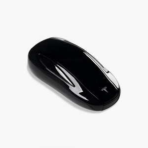 Model X Key Fob