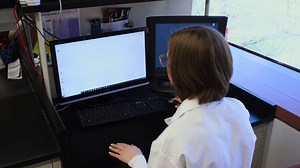 Using the Open-Source MALDI TOF-MS IDBac Pipeline for Analysis of Microbial Protein and Specialized Metabolite Data