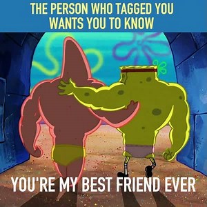 744K views · 2.2K reactions | Knowledge cannot replace friendship. Show your friends you care! | SpongeBob SquarePants | Facebook