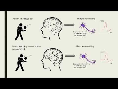 The Role of Mirror Neurons in Observational Learning