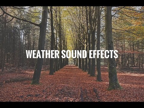 Free Weather Sound Effects Wind, Rain & Thunder