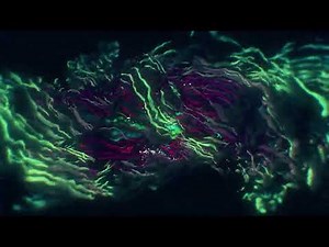Trapcode Formで作った有機的管