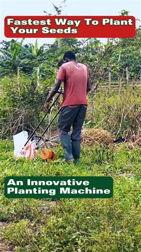 13K views · 182 reactions | Introducing the Hand Push Seed Planter, an innovative machine that makes Planting all kinds of seeds faster and easier. #plantingseeds #seedplanter #innovativetools #machinery #farmequipment #farminginafrica #semanhyiafarms #semanhyiagrass | Farming In Africa | Facebook