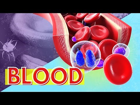 Blood Structure and Function: Why is Blood Important