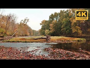 Autumn River 4K Forest Ambience | Fall Ambience | Autumn Sound Effect