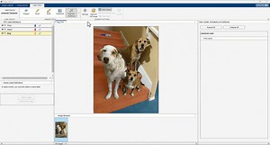 Have you downloaded R2024b yet? MATLAB R2024b brings over 1,900 updates, from small fixes to game-changing features! Here are a few highlights: ✨ The first version of the MATLAB Package Manager 🎶 Data sonification—now you can hear your data as well as see it! 🔍 Enhanced Ordinary Differential Equation solving 📊 New plot types in base MATLAB 🧠 Deep learning segmentation models There’s so much more to explore in the blog post, just scratching the surface of what’s new in MATLAB ➡️ https://spr.l