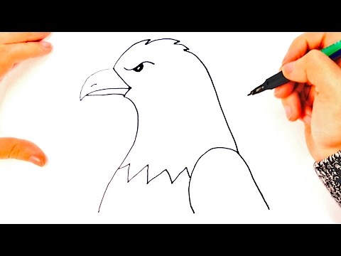 How to draw a Eagle for kids | Eagle Drawing Lesson Step by Step