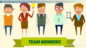 Team Members in an Organization: Roles, Responsibilities & Characteristics