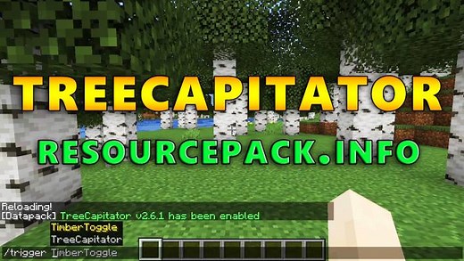 TreeCapitator Datapack for Minecraft 1.21.6 / 1.20.6 / 1.19.4