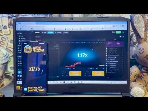 Live Stream Aviator Spribe