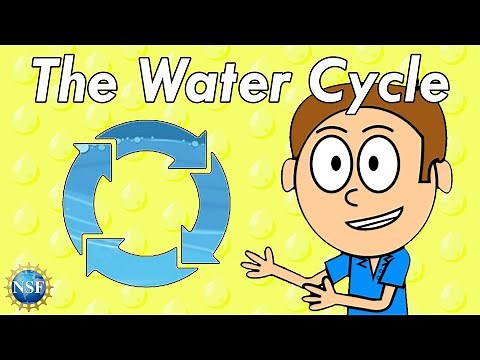 The Water Cycle! Science For Kids