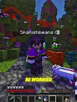 "You're so Weird..." #ldshadowlady #smallishbeans #minecraft