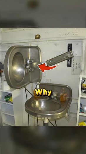 What These Two Sinks Are For?