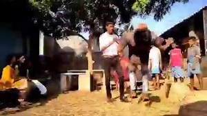 Wow wow wow This Kids were from Rural region and making this hi-tech stunts sequence with Pro max editing level❤️❤️❤️❤️💥💥💥💥 Worth to watch !! Super guys @Nellore Kurrallu Watch out the full video - https://youtu.be/wQj9vafI9E0 | Troll PubG