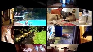 189K views · 10K reactions | UC No More Buffering - Watch the video online #UCBrowser | UC Browser | Facebook