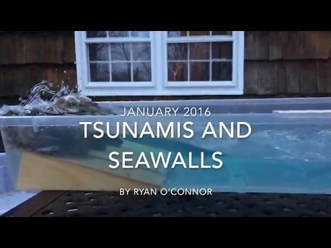 Tsunami Science Project