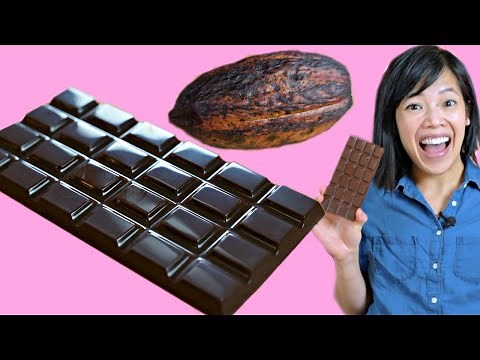 Cocoa POD to CHOCOLATE Bar -- How to Make A DIY Bean-to-Chocolate Bar at Home