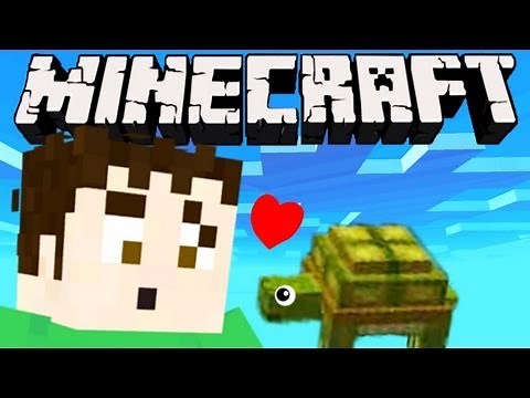 Minecraft - PET TURTLE