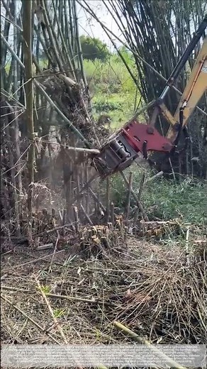The process of using a log grabber to cut down a bamboo forest.