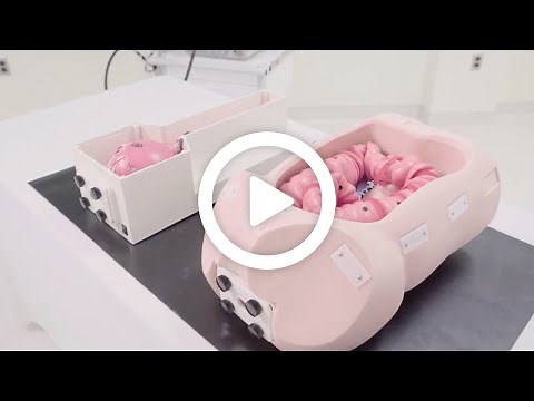 Endoscopy Training System