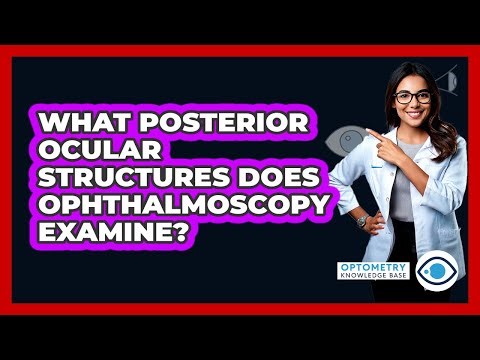 What posterior ocular structures does ophthalmoscopy examine?