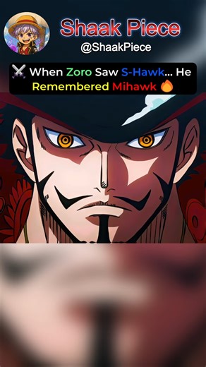 When Zoro Saw S-Hawk… He Remembered Mihawk 🔥 | One Piece #onepieceedit