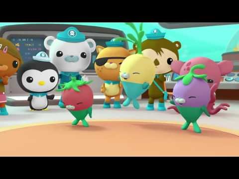Octonauts: Creature Report Compilation - Series 1