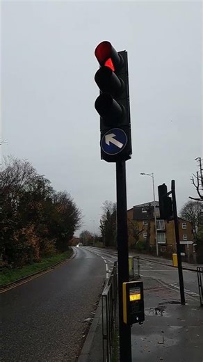 Redbridge: Hollybush Hill, PEEK Helios CLS Traffic Lights Pedestrian Crossing