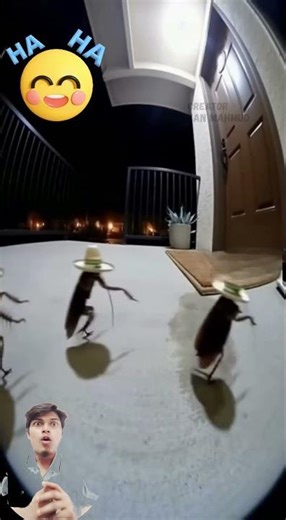 CCTV Captures Dancing Cockroaches With Hats! 😂🪳🎉