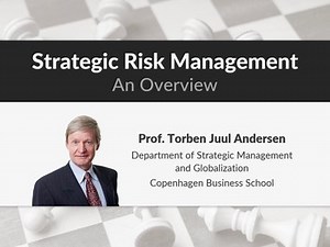 Strategic risk management: an overview