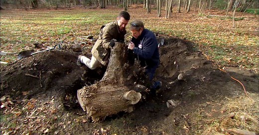 How To Get Rid of Tree Stumps