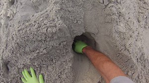 8.7K views · 130 reactions | Come along with one of the park biologists on this first-hand look at discovering a loggerhead sea turtle nest this morning on Bodie Island Spit. | Cape Hatteras National Seashore | Facebook