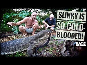 My Lizard Slinky ATE a Wild Snake! (CAUGHT IN THE ACT)