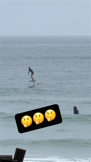 SURFING - LENNOX HEAD on Instagram: "Are these illegal at Lennox head beach???????"