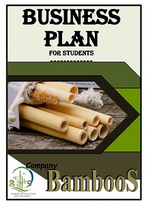 Business Plan Examples For Students Entrepreneurship