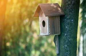 How to Attach a Birdhouse to a Tree Without Damage