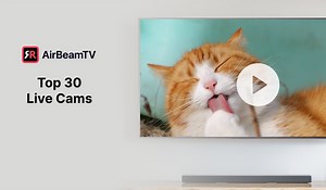 30 Fascinating Live Cams You Can Watch in 2025