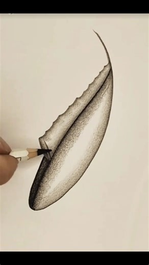 Funart with Rahul on Instagram: "Easy Fish Pencil Sketch | Step-by-Step Drawing for Beginners Create this easy fish pencil sketch in just a few minutes! 🐟✏️ This beginner-friendly tutorial shows simple step-by-step techniques to draw a clean and beautiful fish using only a pencil. Perfect for kids, beginners, and hobby artists looking to improve their sketching skills. ✨ What you'll learn: Basic outline of the fish Shading tips for realistic texture Easy pencil techniques for beginners Step-by-