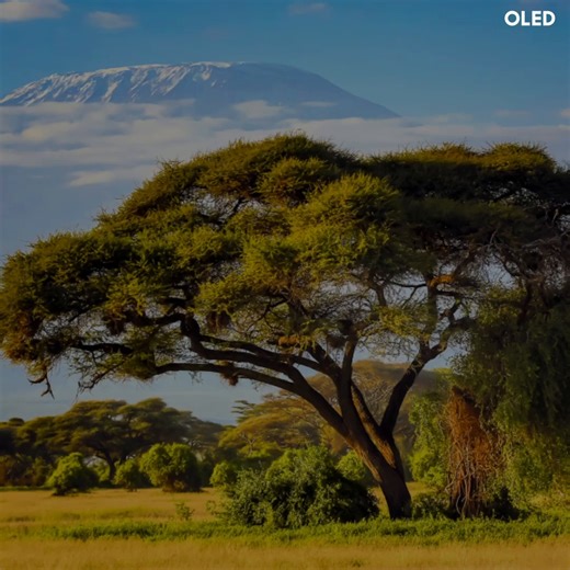 11 reactions | The ultra-high 144Hz TV refresh rate on the Samsung...