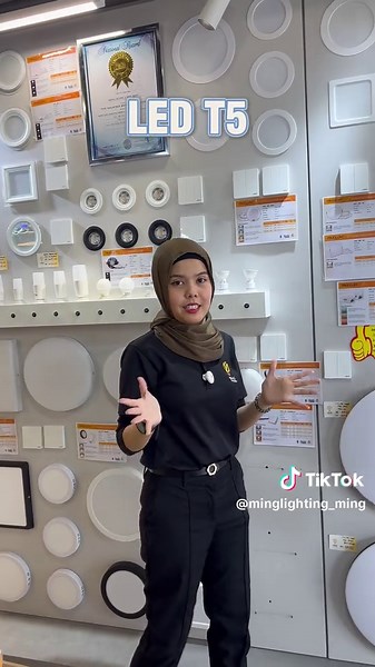 Explore Our Stylish LED T5 Light Collection